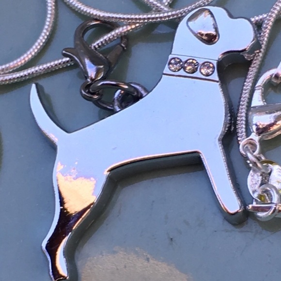 Charm ๐ Pit Bull, Lab, hound, mastiff, Rottweiler - Picture 4 of 4